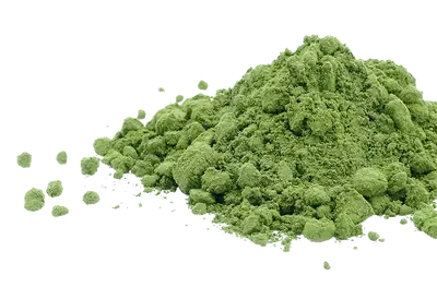 Green Tea Extract