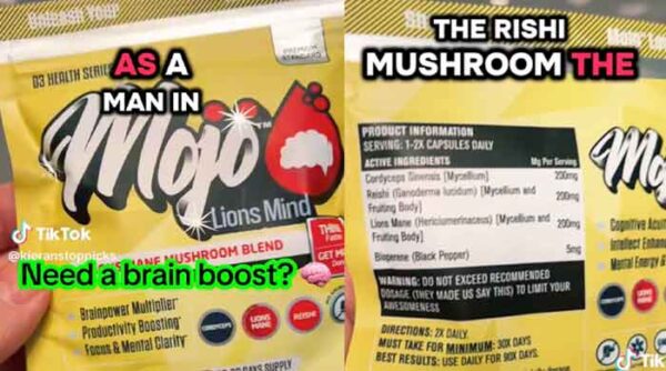 Lions Mind Nootropic TikTok