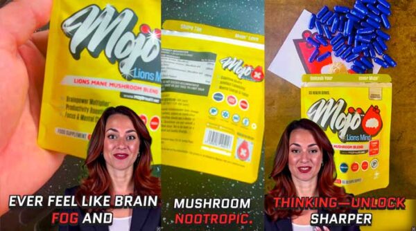 MOJO Mushroom Nootropics